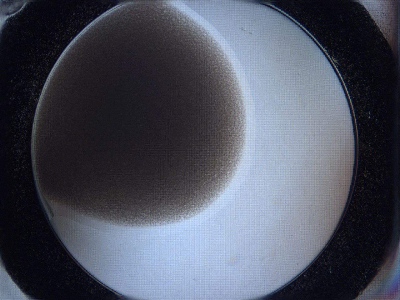 0623_H10_ImagerDefaults_2.jpg