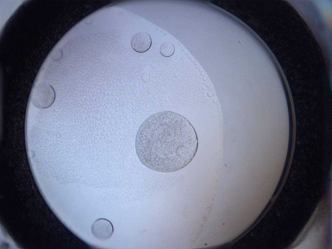 0623_H11_ImagerDefaults_5.jpg