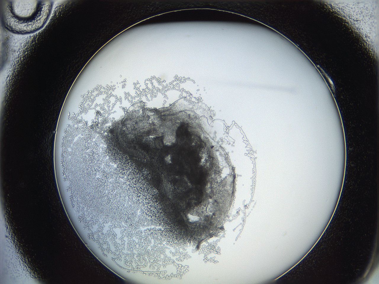 0624_A10_ImagerDefaults_3.jpg