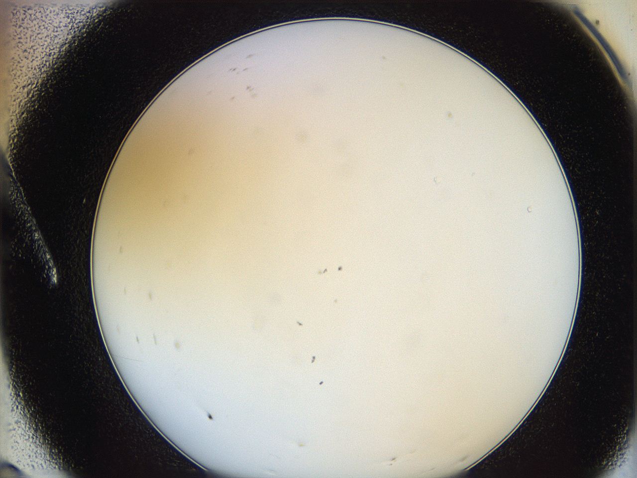 0624_A8_ImagerDefaults_1.jpg