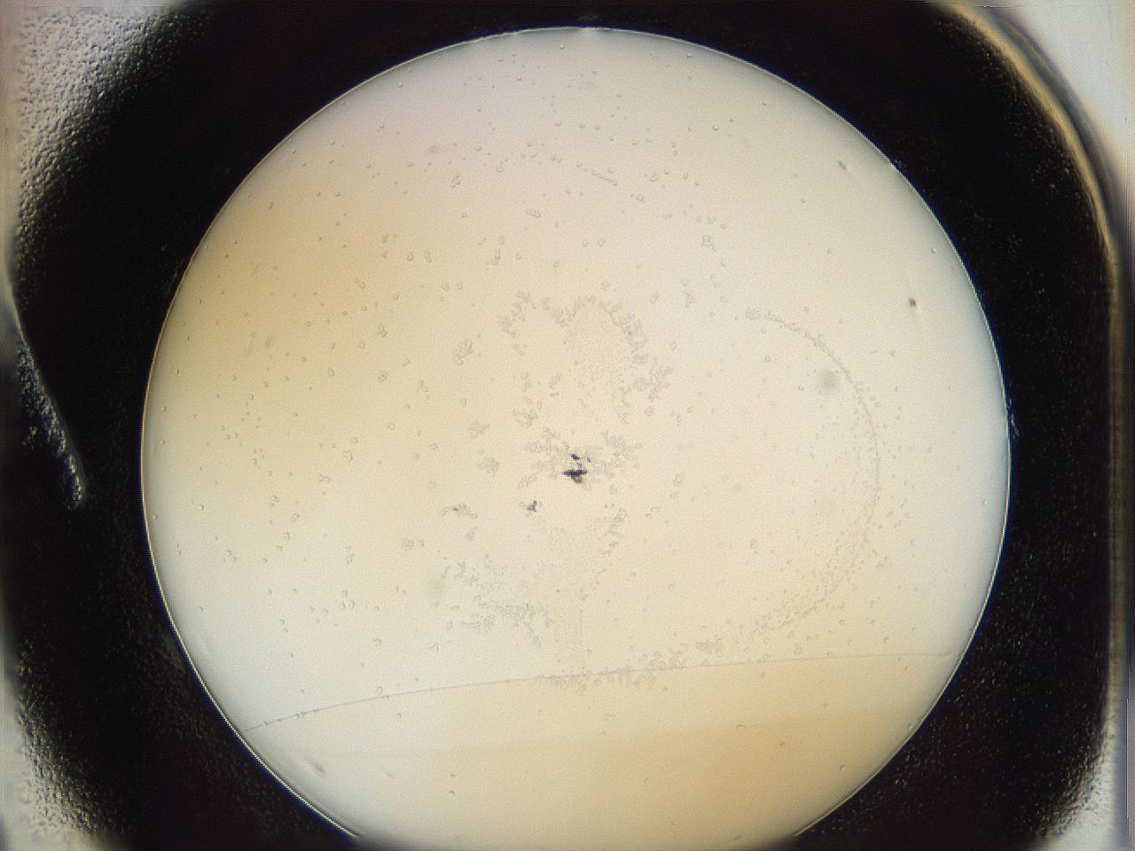 0624_A1_ImagerDefaults_0.jpg