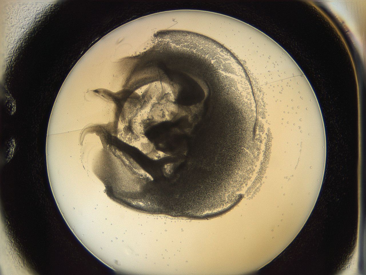 0624_C1_ImagerDefaults_3.jpg