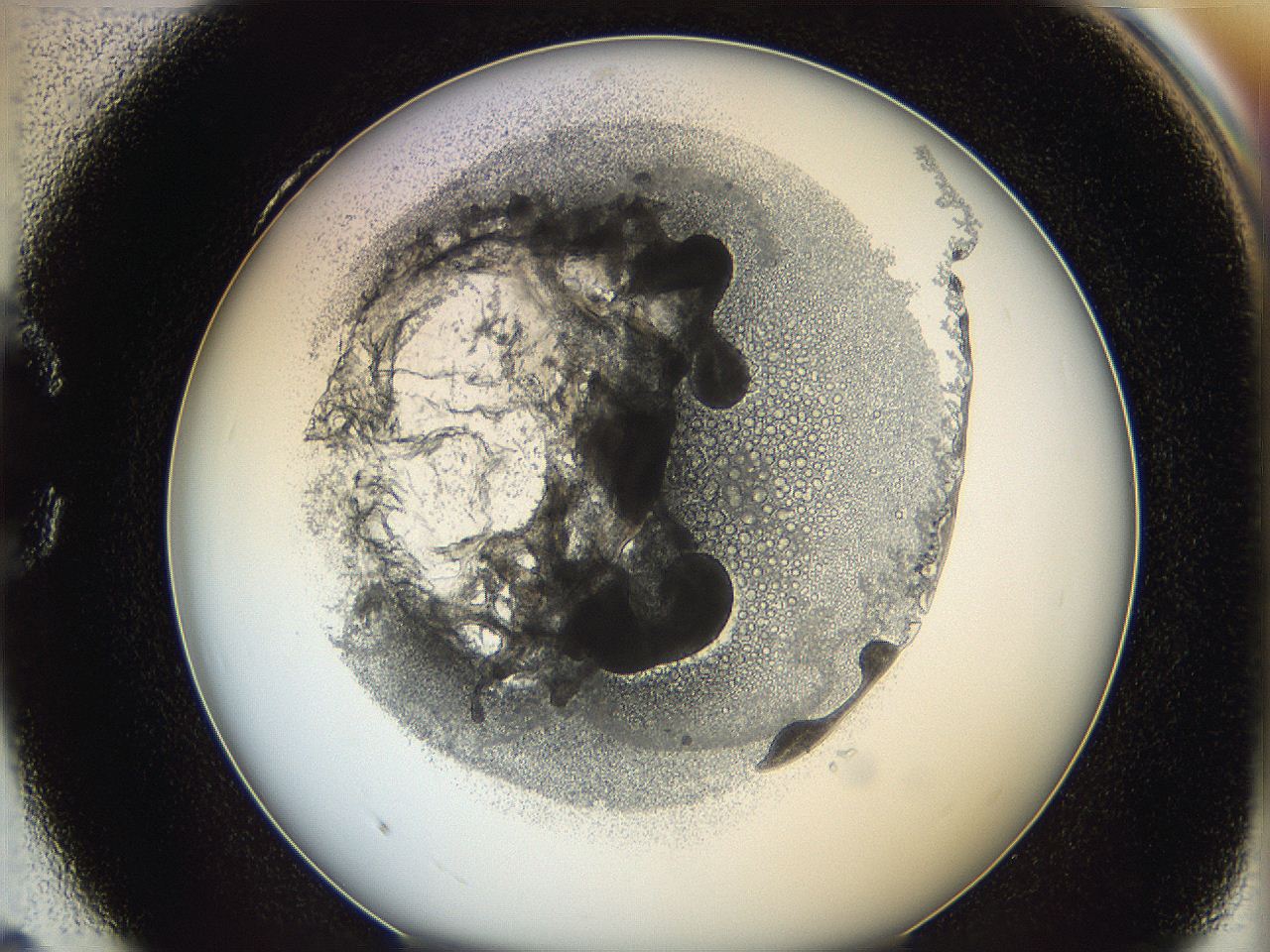 0624_C4_ImagerDefaults_5.jpg