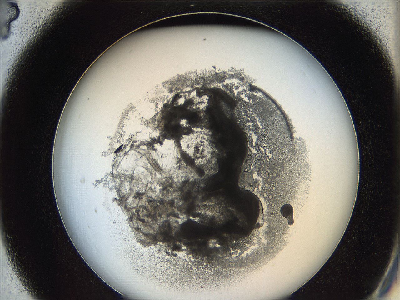 0624_C4_ImagerDefaults_3.jpg