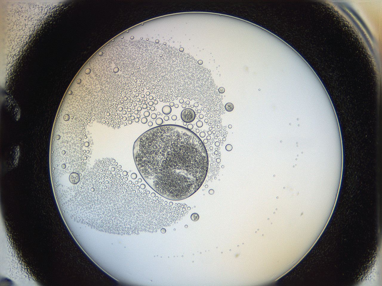 0624_C5_ImagerDefaults_5.jpg