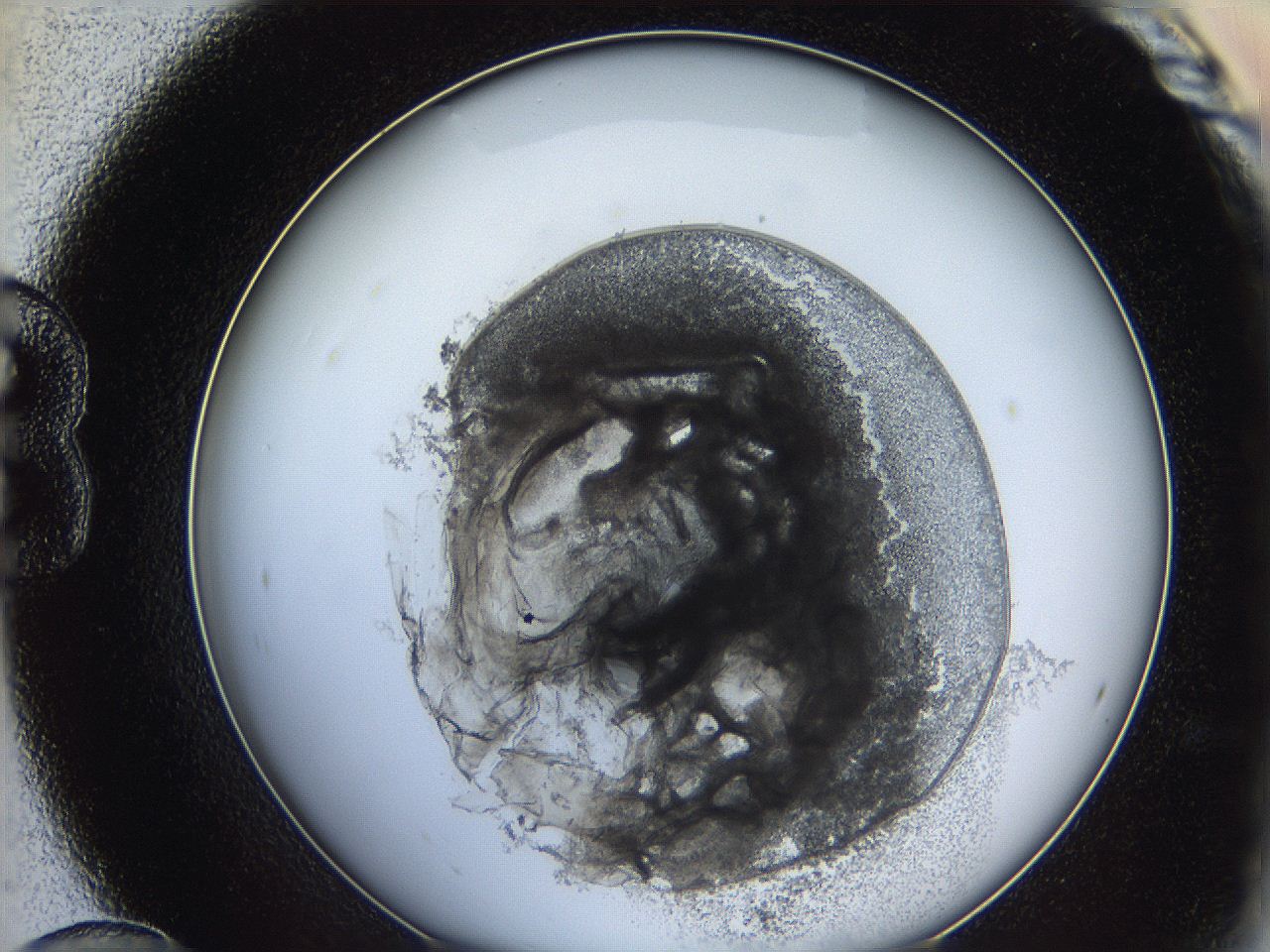 0624_B12_ImagerDefaults_3.jpg