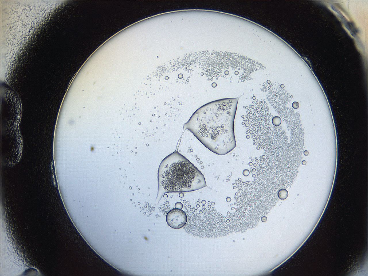 0624_B11_ImagerDefaults_5.jpg