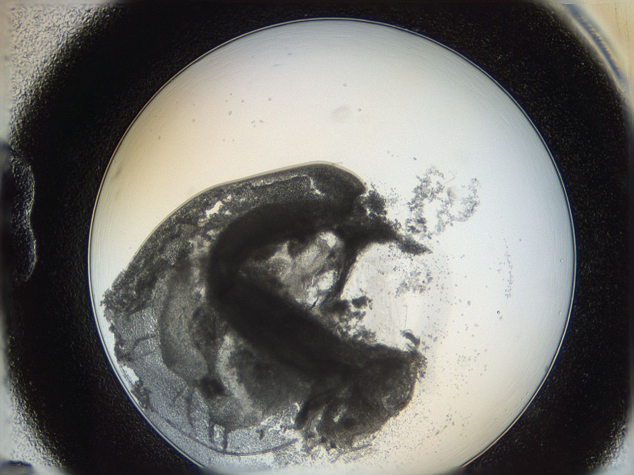 0624_B7_ImagerDefaults_3.jpg
