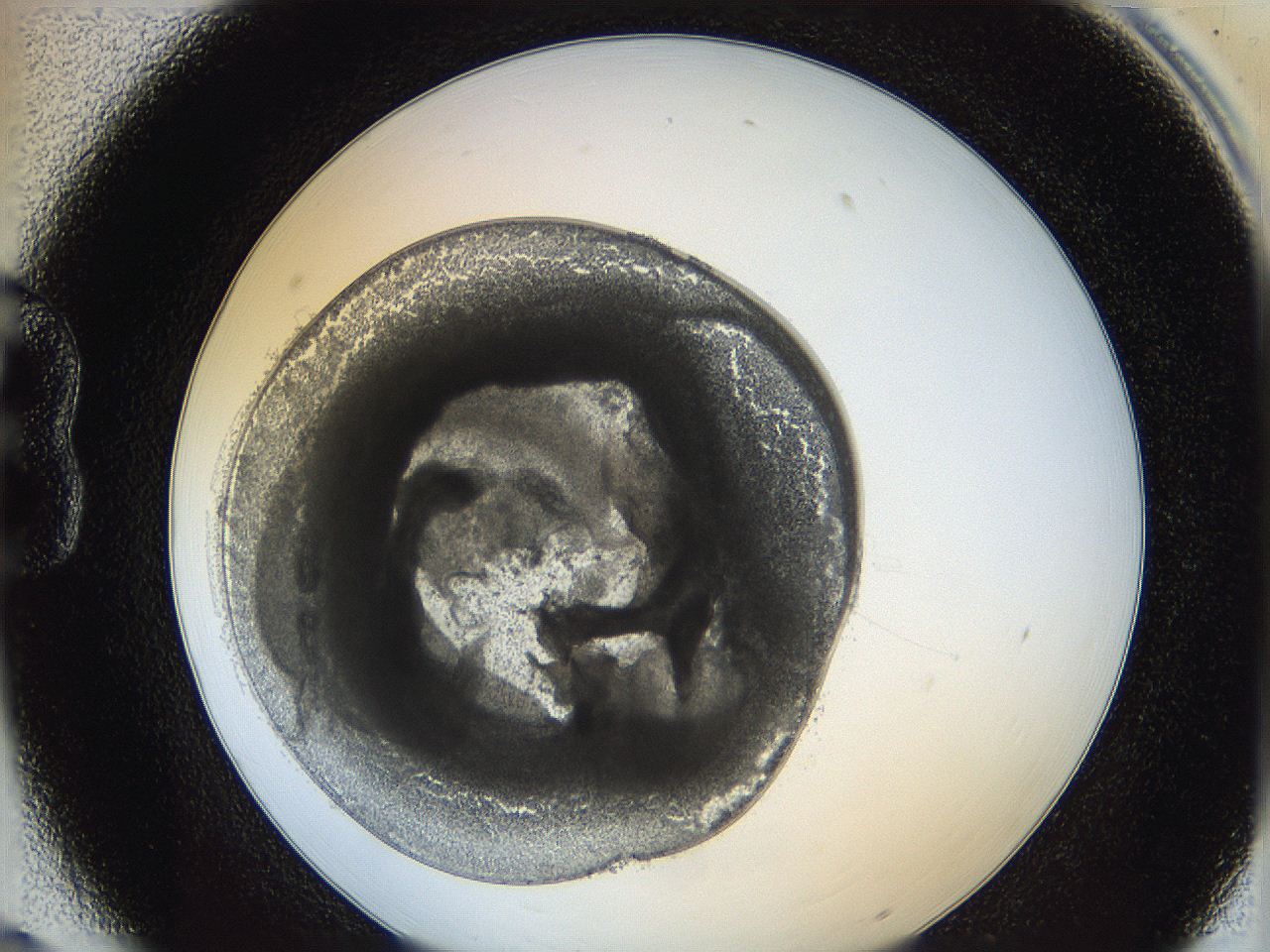 0624_B6_ImagerDefaults_3.jpg