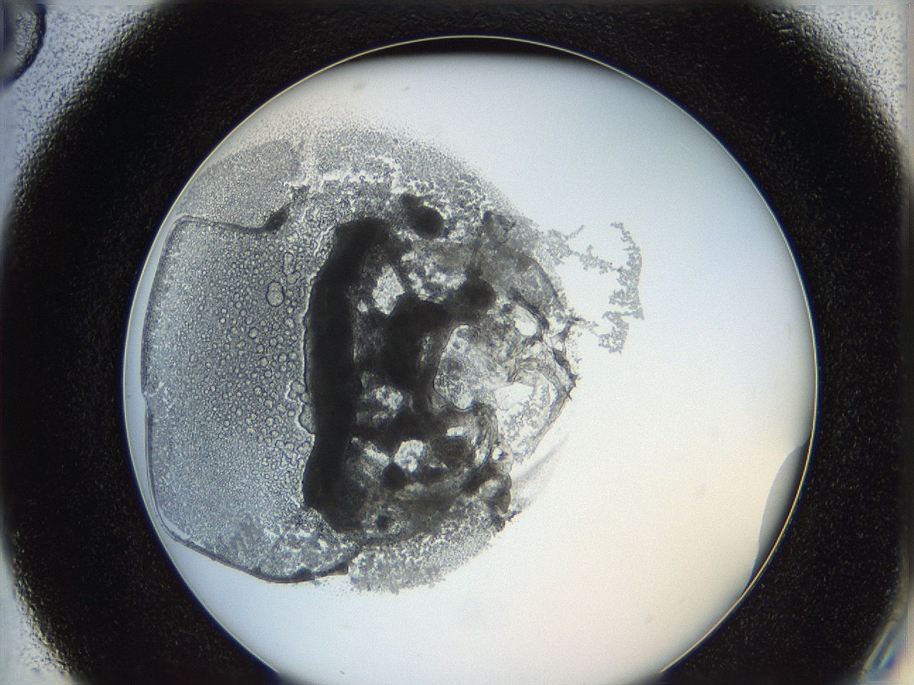 0624_C5_ImagerDefaults_3.jpg