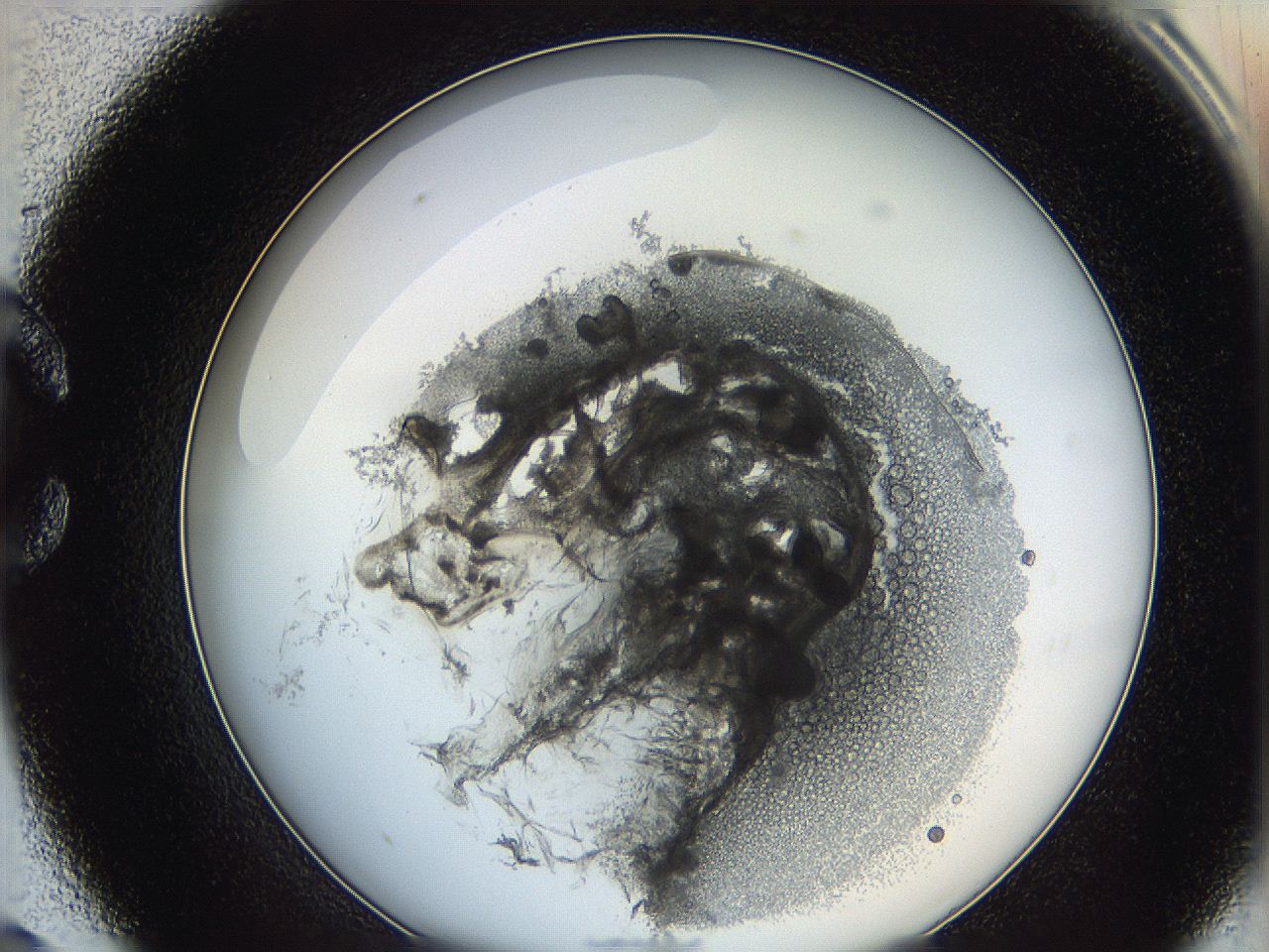 0624_C9_ImagerDefaults_3.jpg