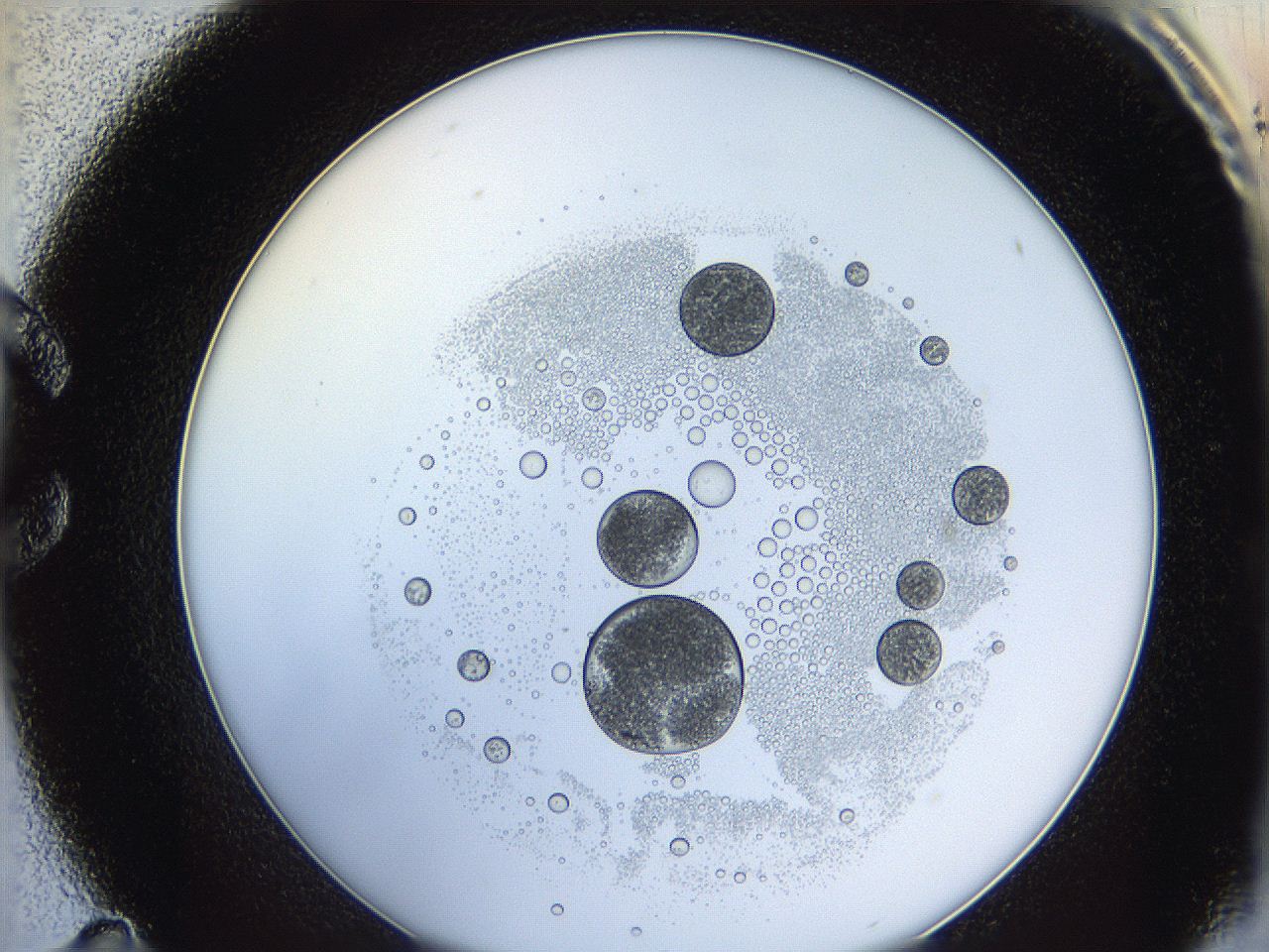 0624_C11_ImagerDefaults_5.jpg
