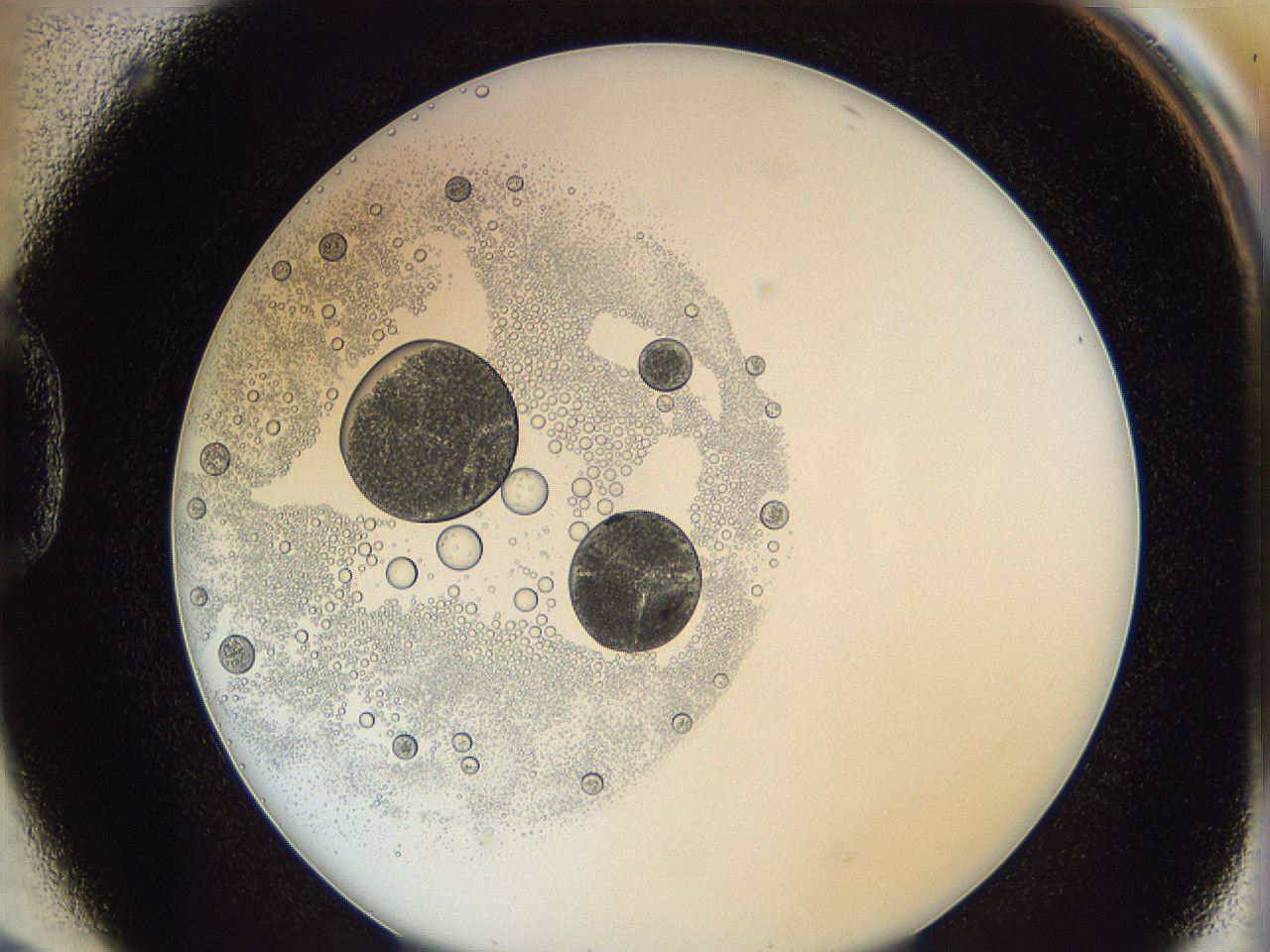 0624_D2_ImagerDefaults_5.jpg