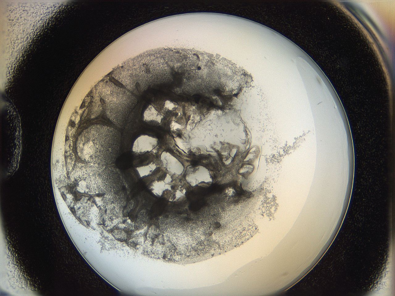 0624_D3_ImagerDefaults_3.jpg