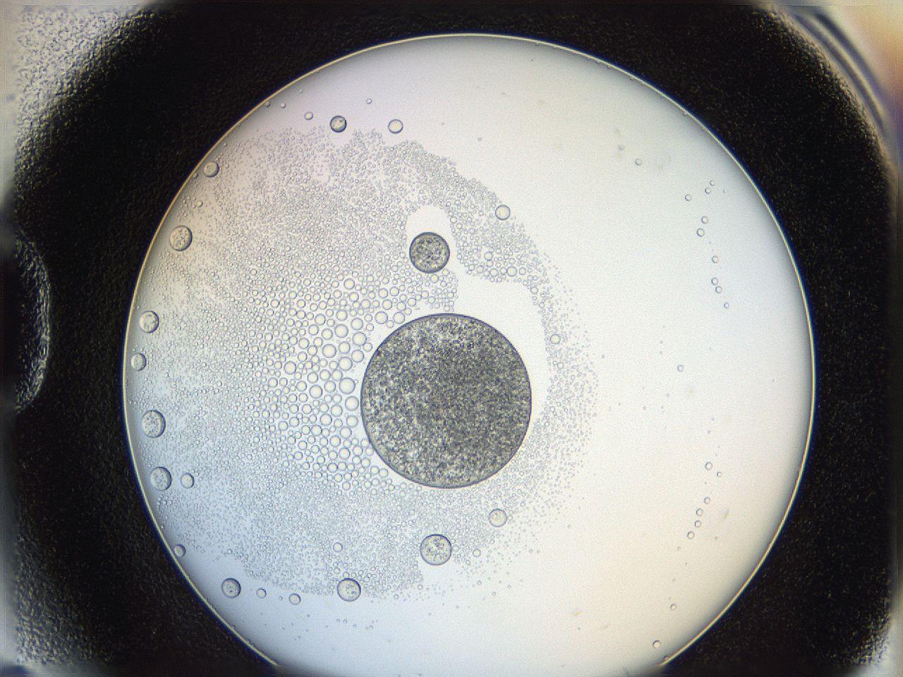 0624_D5_ImagerDefaults_5.jpg