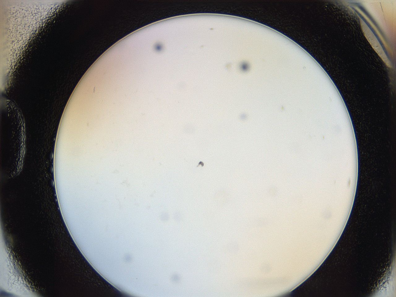 0624_D6_ImagerDefaults_0.jpg