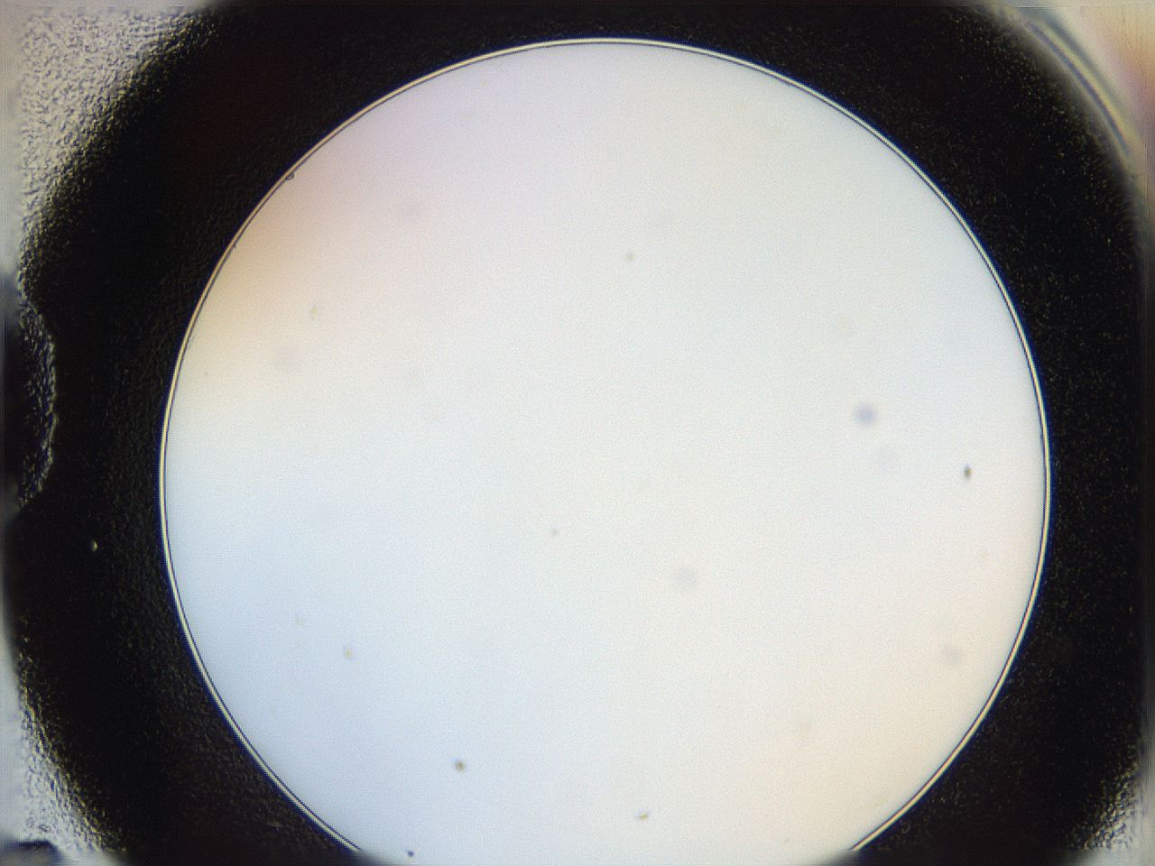 0624_D7_ImagerDefaults_0.jpg