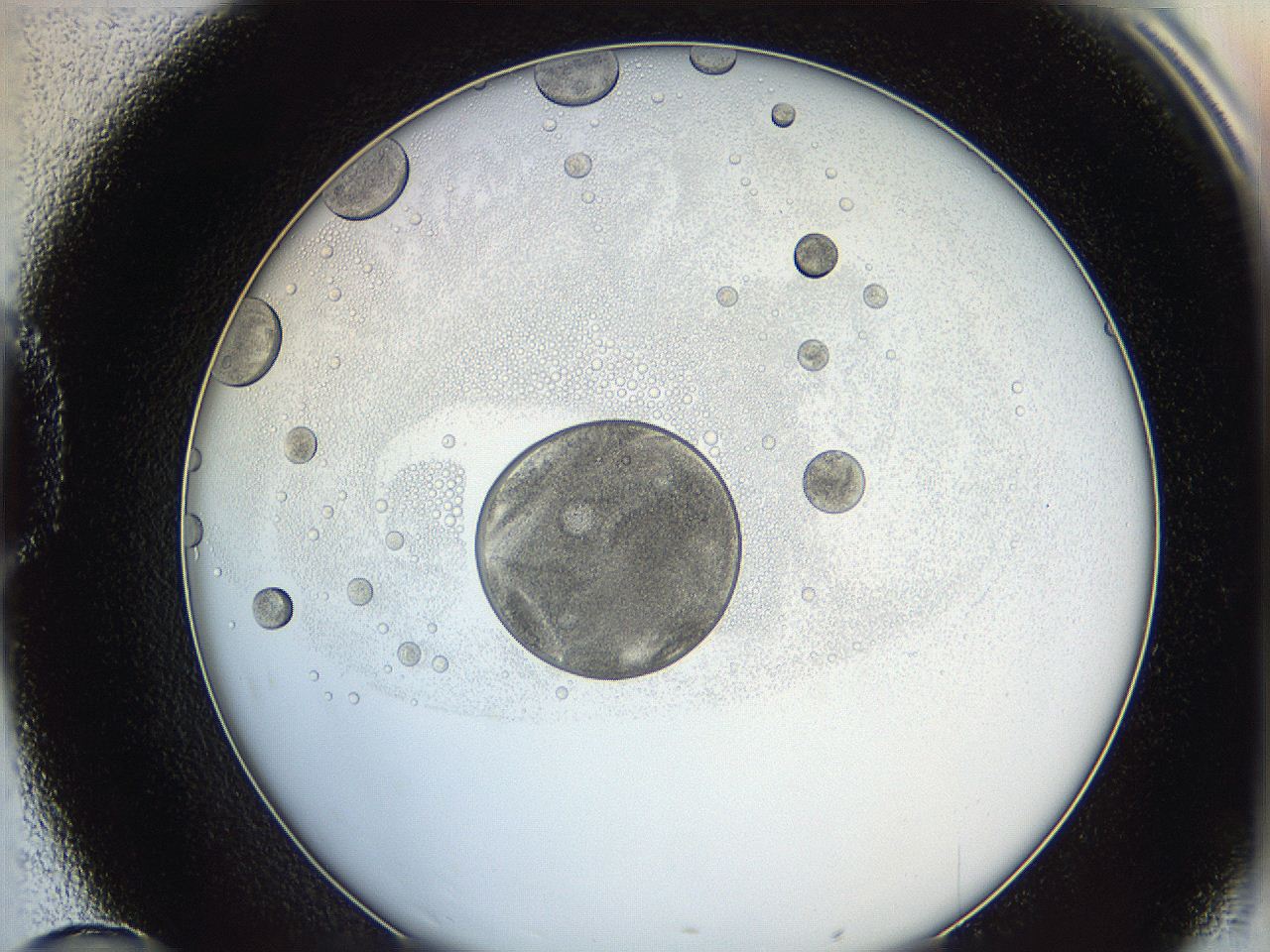 0624_D10_ImagerDefaults_5.jpg