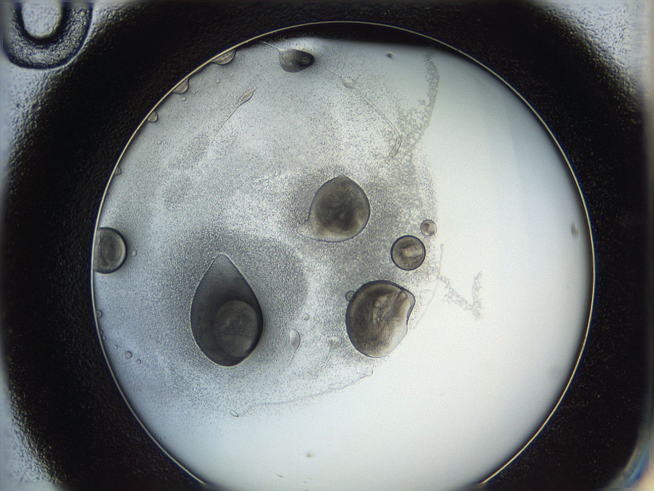 0624_D10_ImagerDefaults_3.jpg