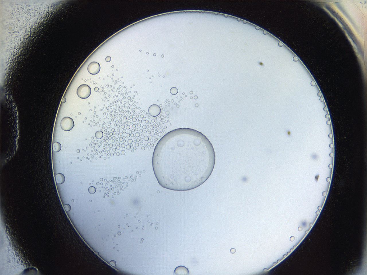 0624_D11_ImagerDefaults_5.jpg