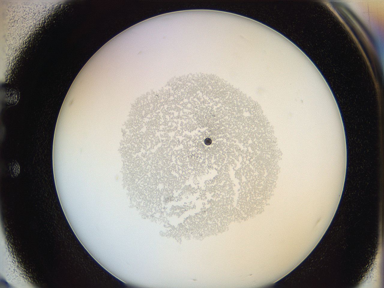 0624_E3_ImagerDefaults_4.jpg