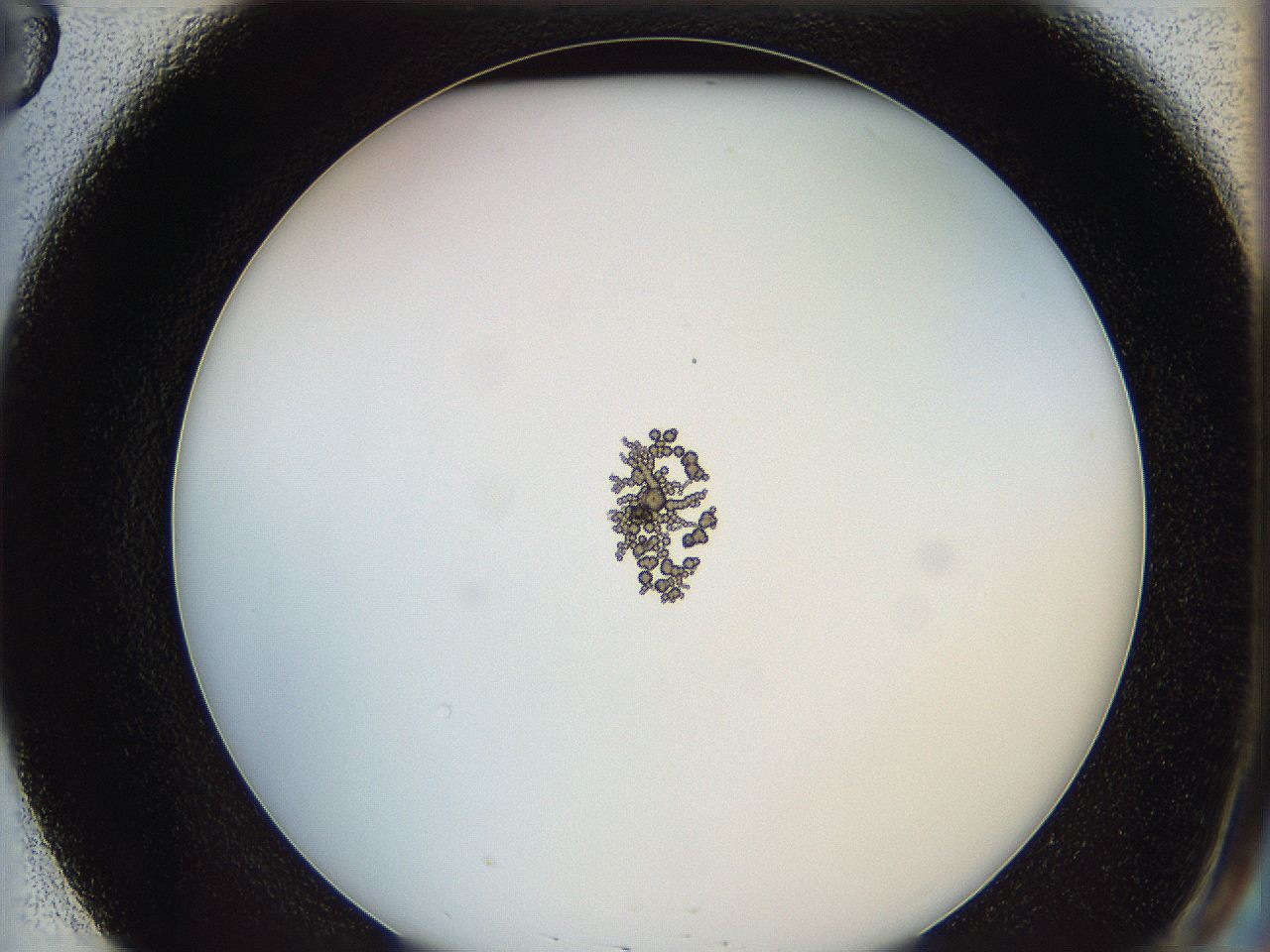0624_E3_ImagerDefaults_5.jpg