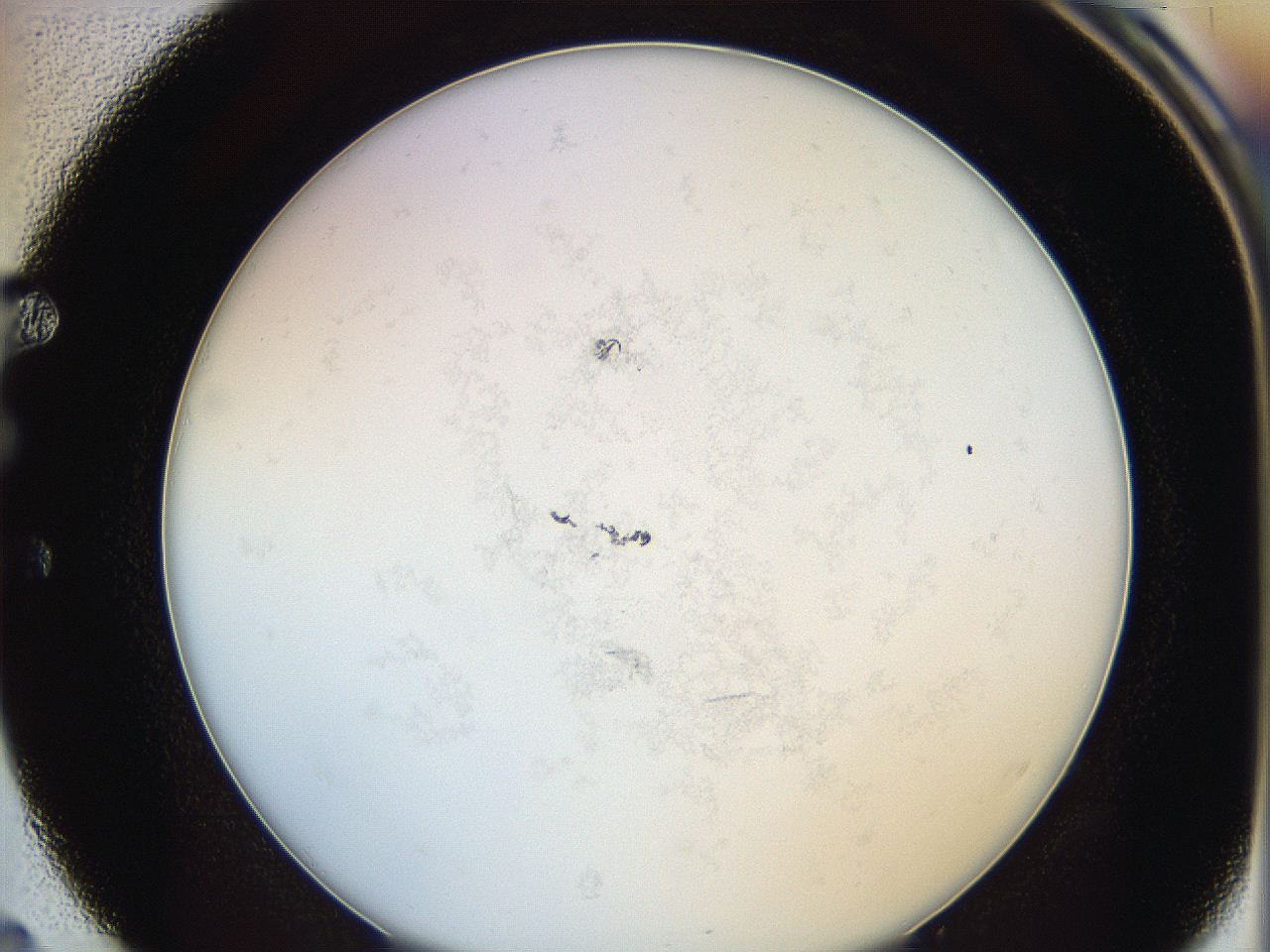 0624_E4_ImagerDefaults_1.jpg