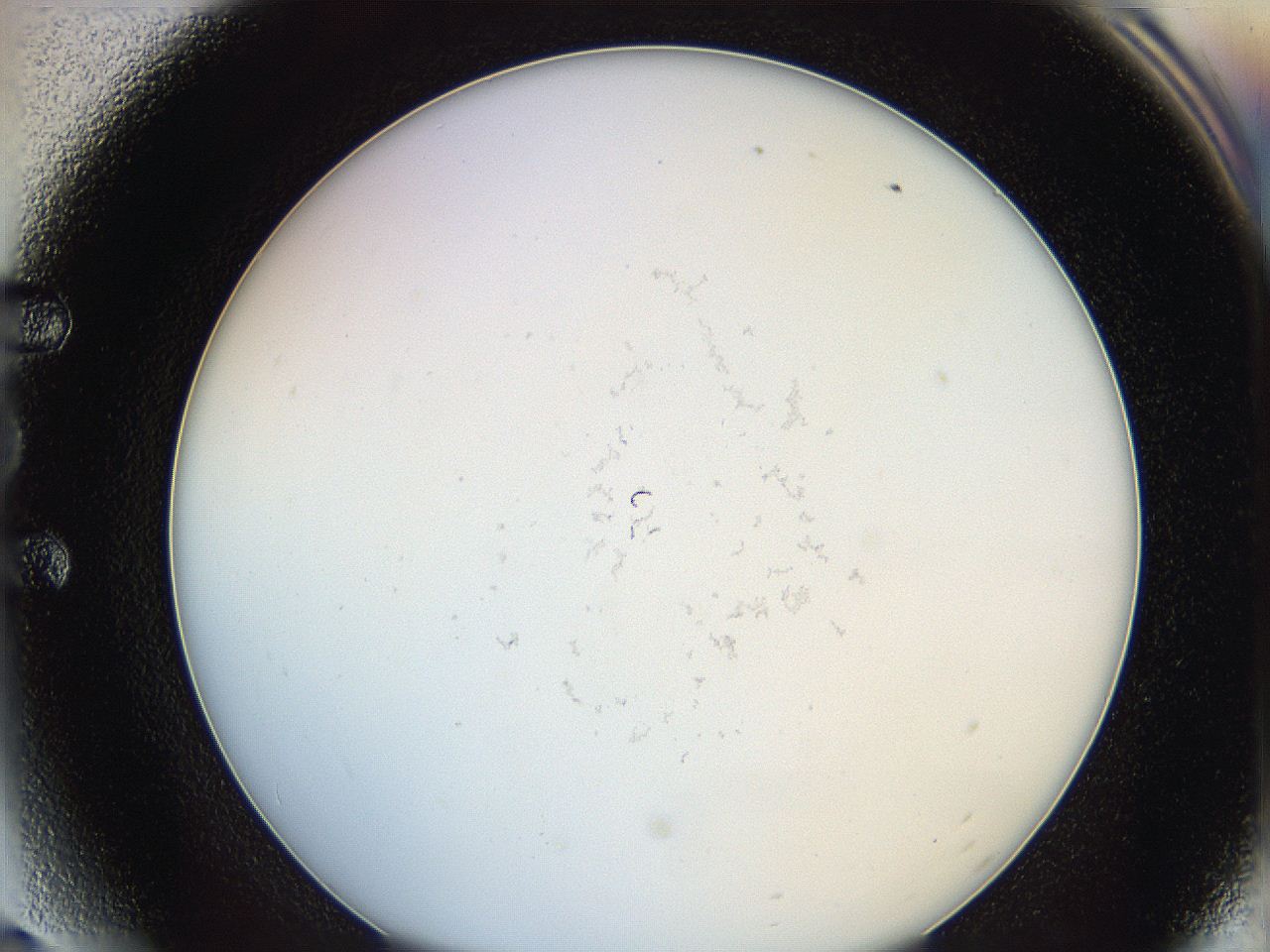 0624_E6_ImagerDefaults_0.jpg