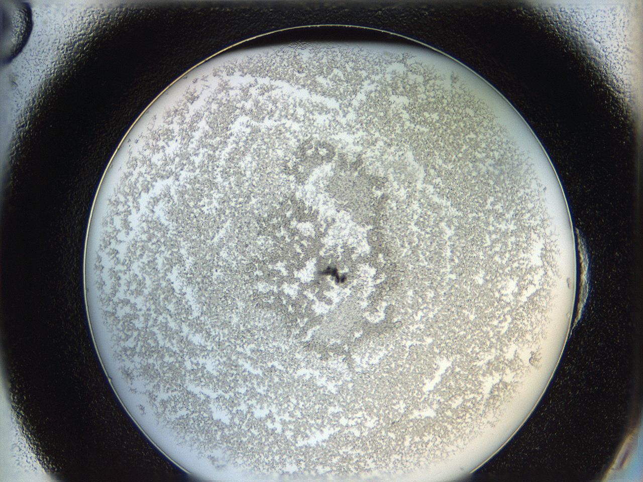 0624_E6_ImagerDefaults_6.jpg