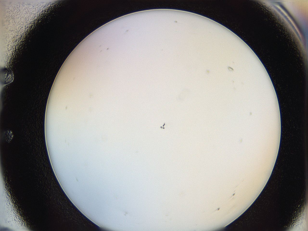 0624_E7_ImagerDefaults_0.jpg