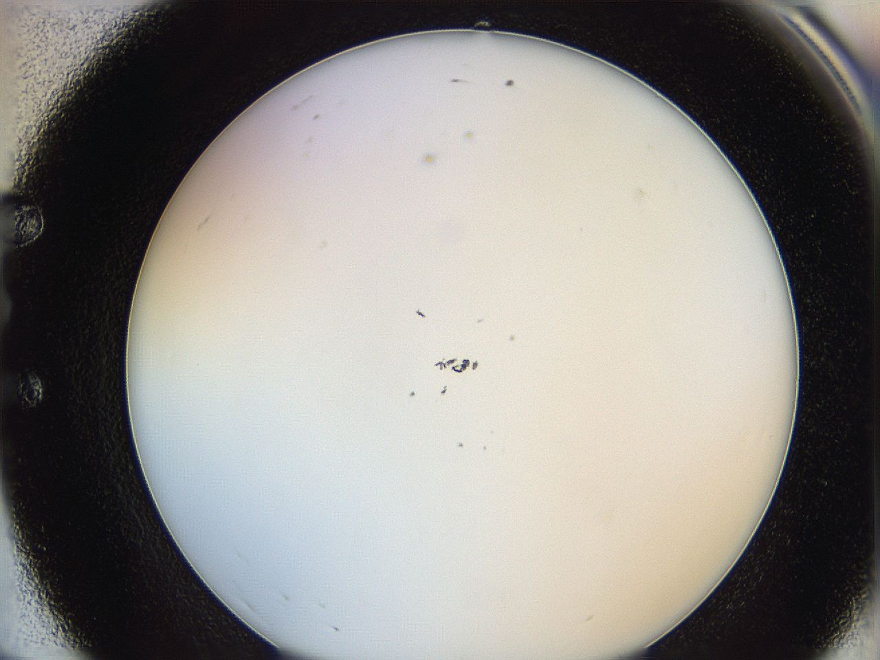 0624_E8_ImagerDefaults_1.jpg