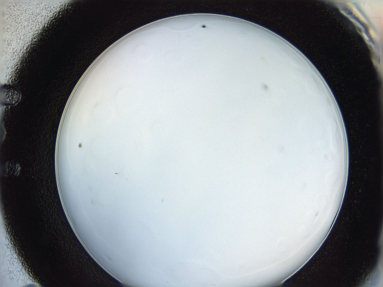 0624_E11_ImagerDefaults_0.jpg
