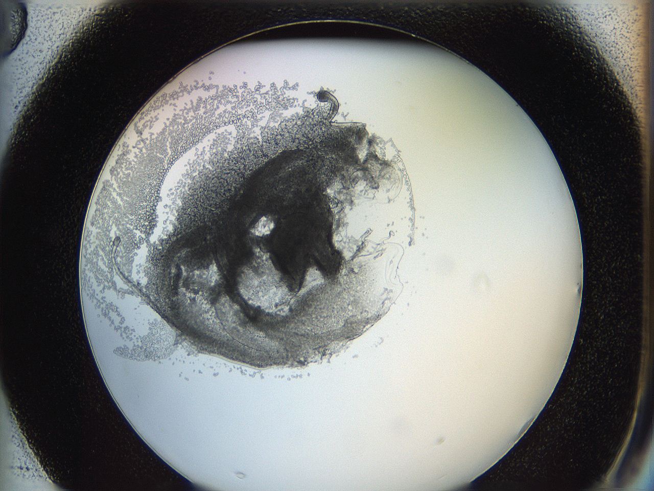 0624_F3_ImagerDefaults_3.jpg