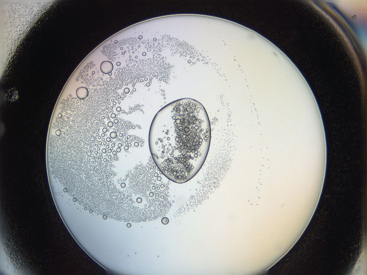 0624_F4_ImagerDefaults_5.jpg