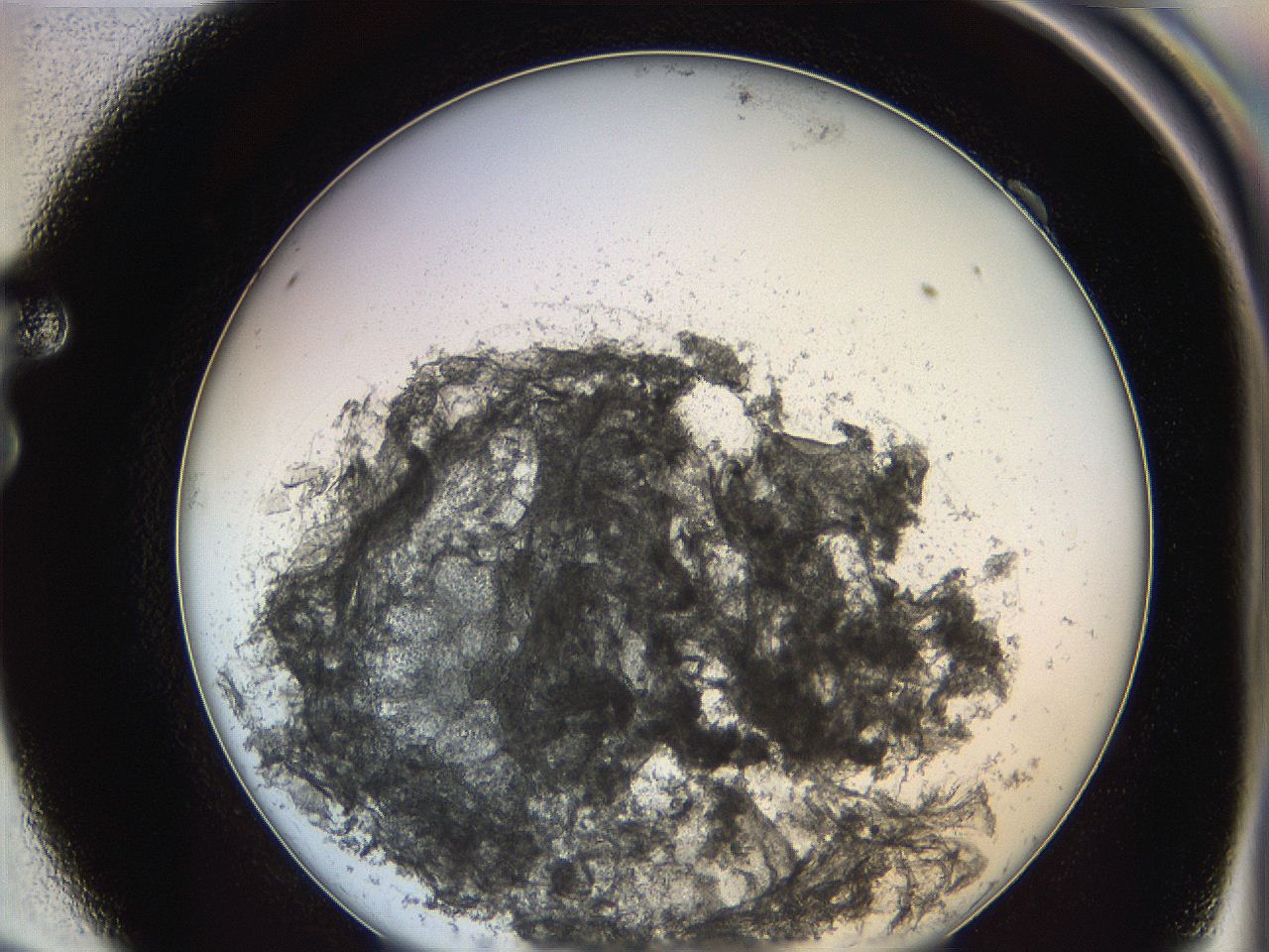 0624_F9_ImagerDefaults_3.jpg