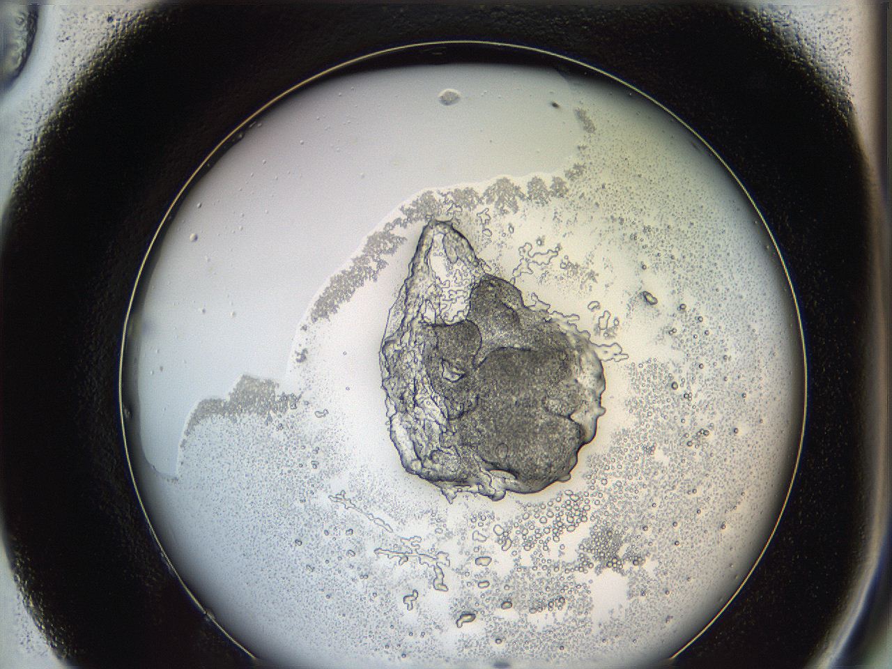 0624_F9_ImagerDefaults_5.jpg