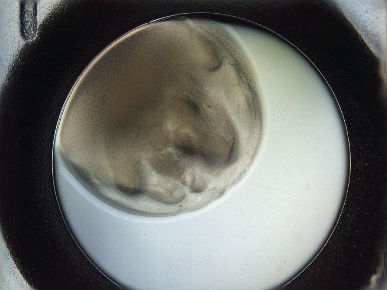 0624_F11_ImagerDefaults_3.jpg