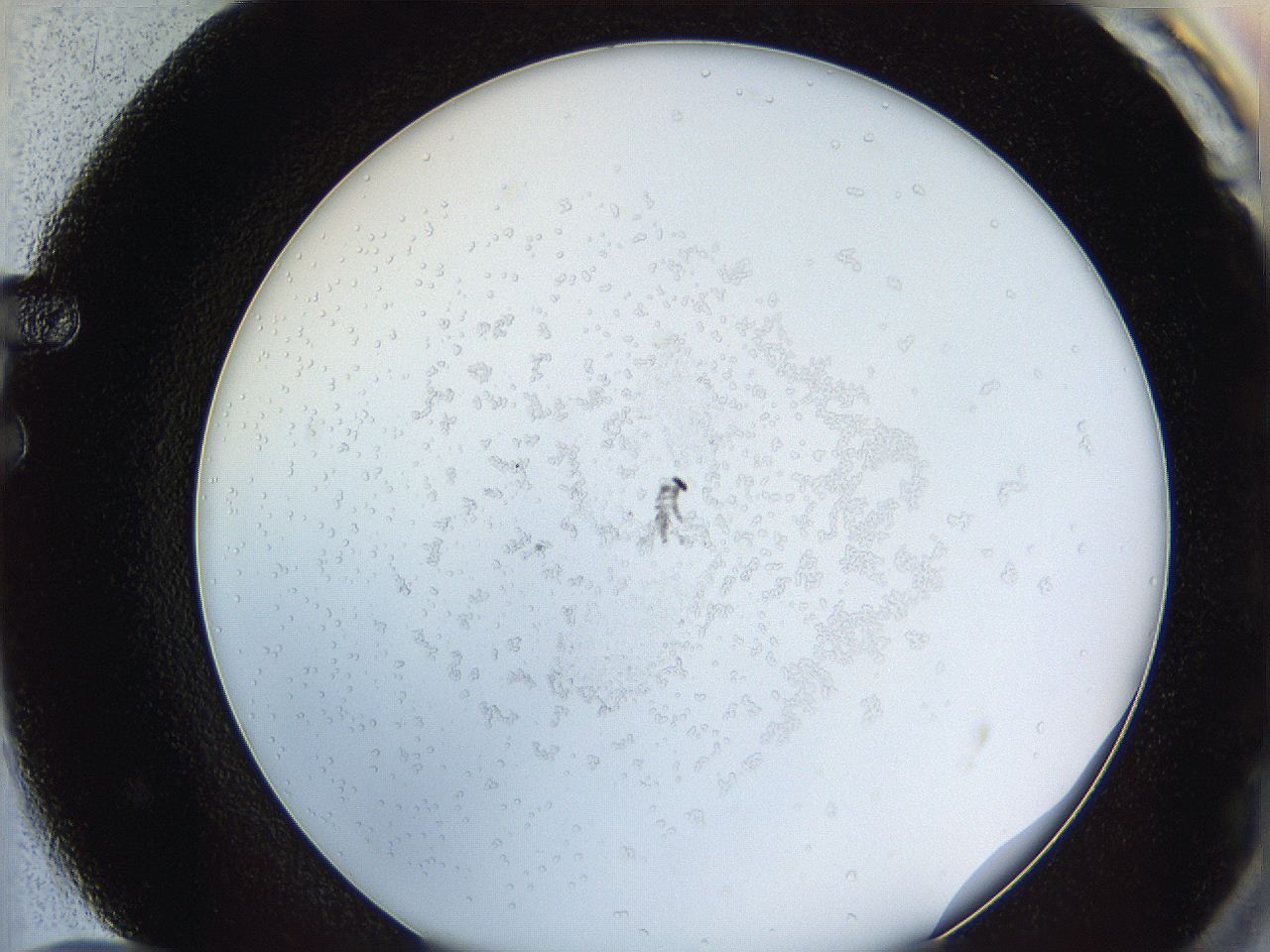 0624_F12_ImagerDefaults_0.jpg