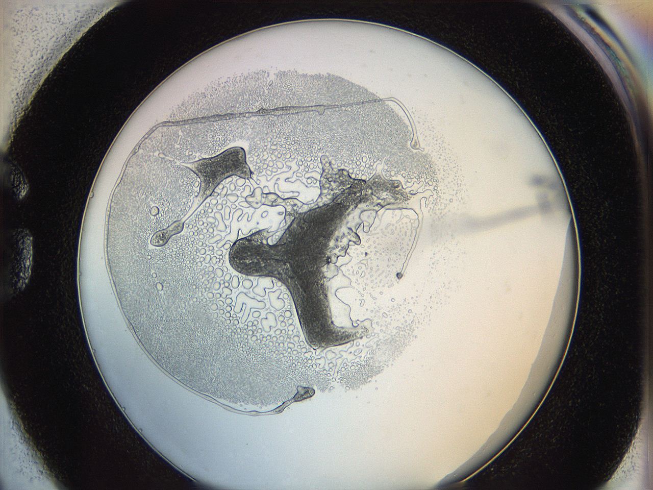 0624_G1_ImagerDefaults_5.jpg