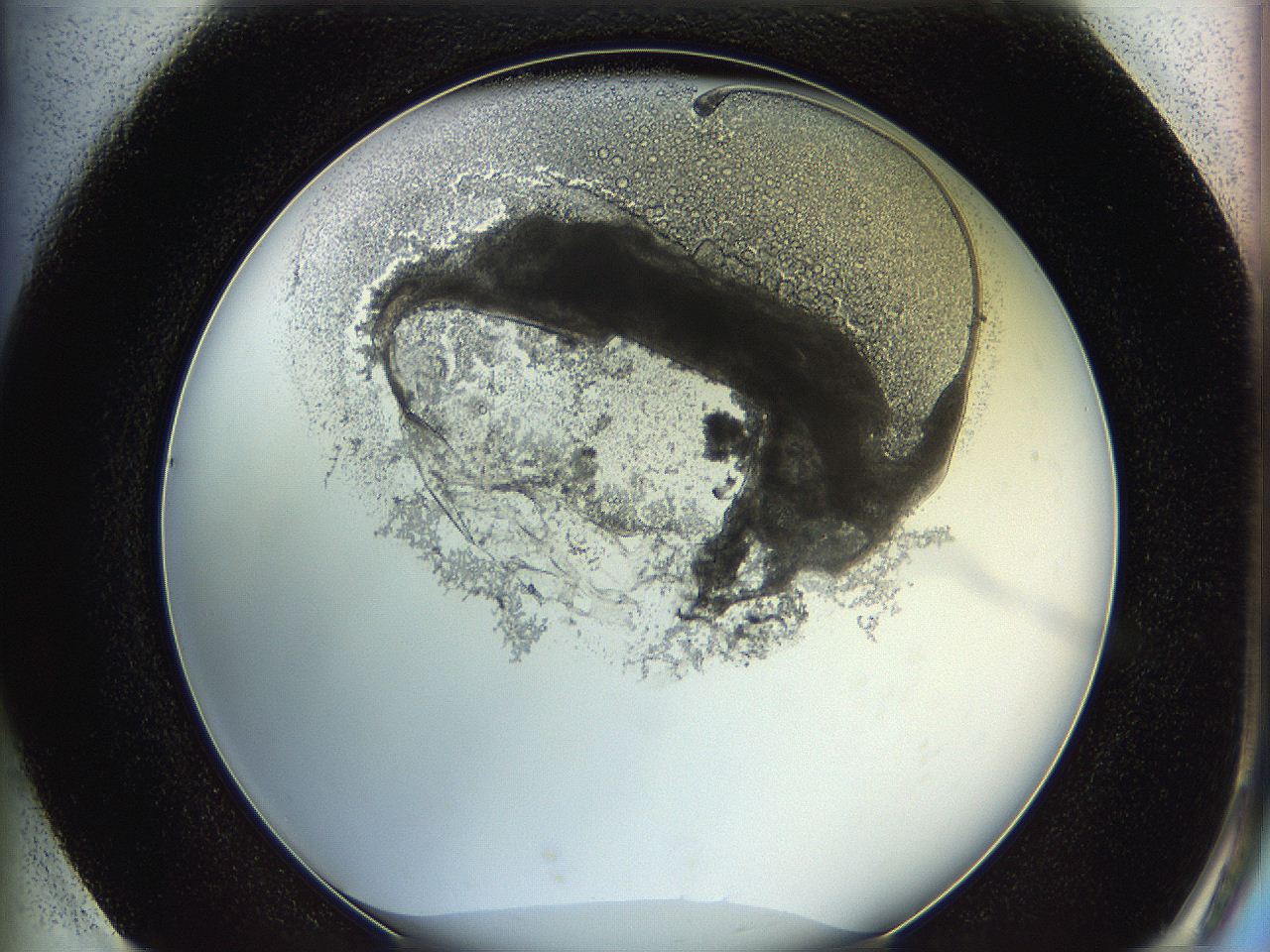 0624_G1_ImagerDefaults_3.jpg