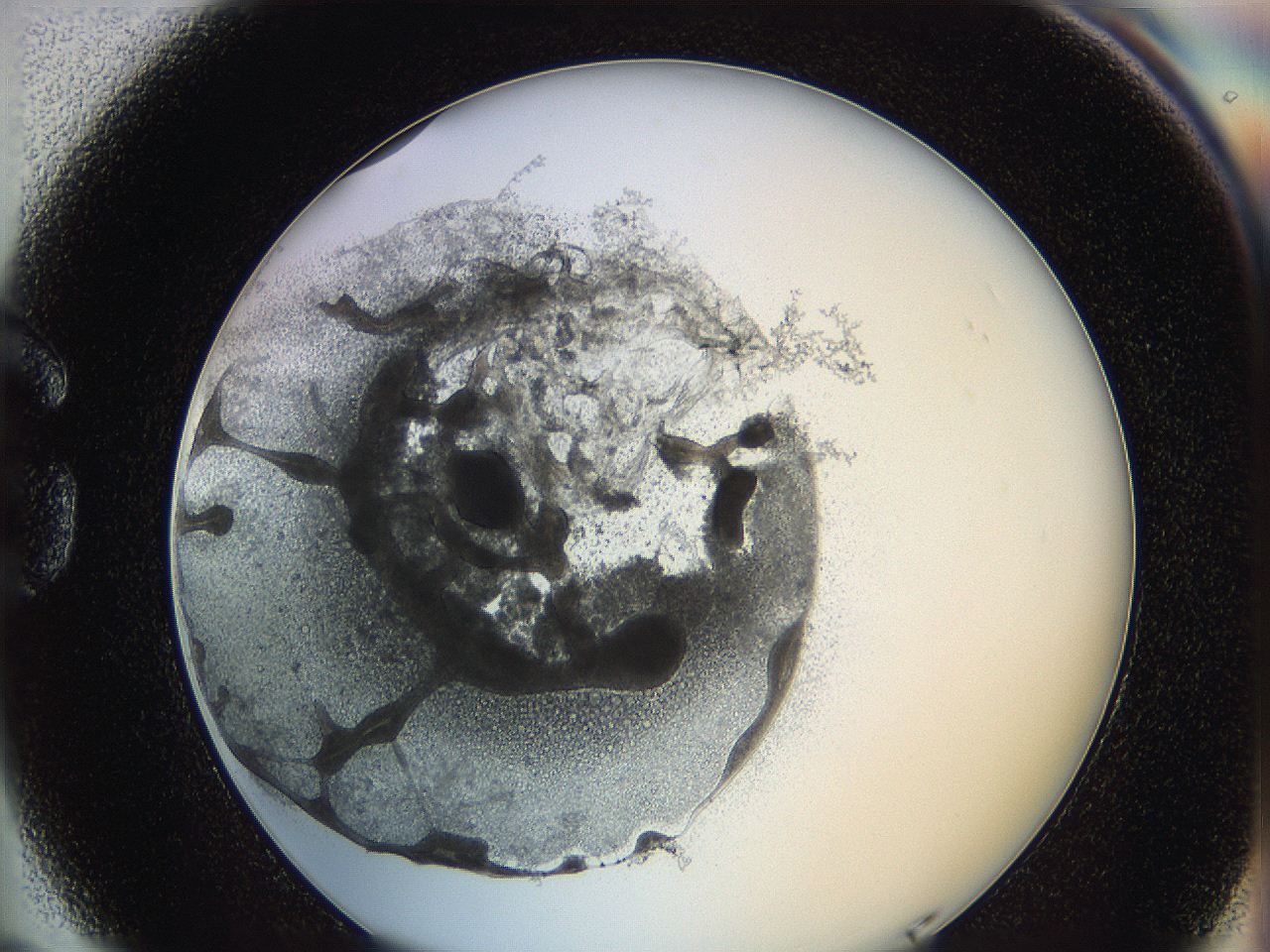 0624_G5_ImagerDefaults_3.jpg
