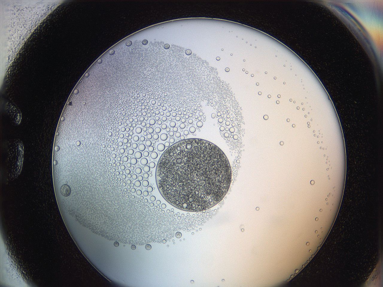 0624_G6_ImagerDefaults_5.jpg