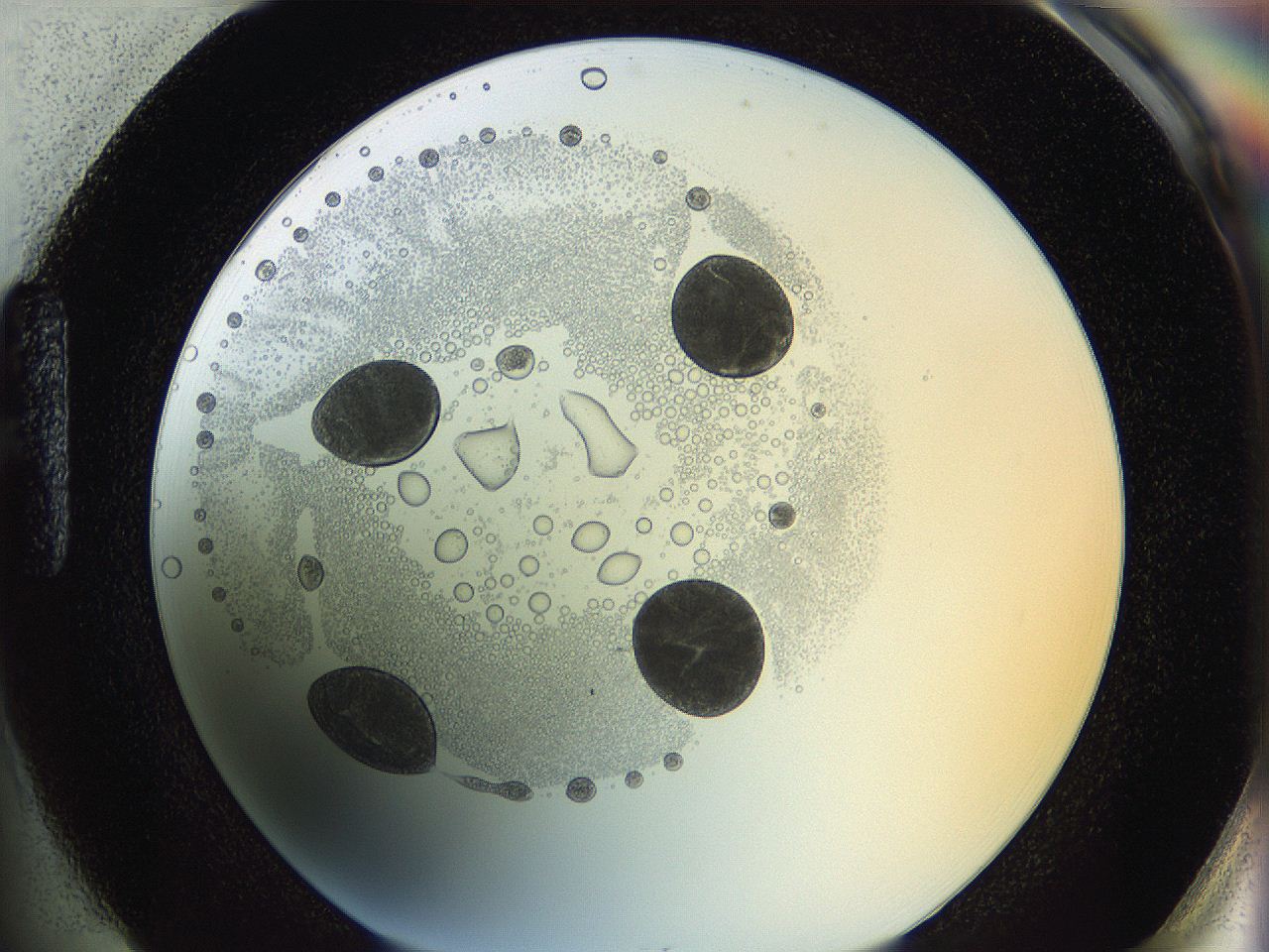 0624_H1_ImagerDefaults_5.jpg