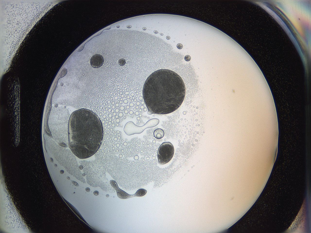 0624_H3_ImagerDefaults_5.jpg