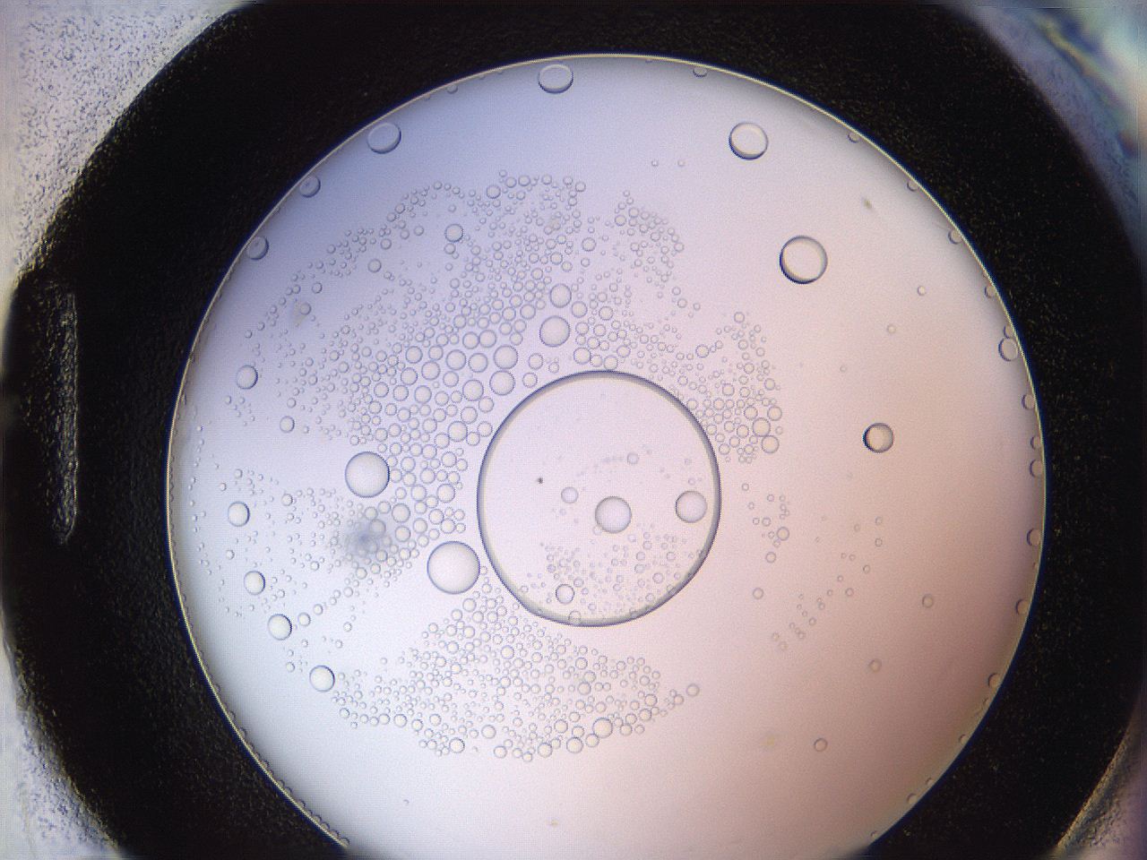 0624_H11_ImagerDefaults_5.jpg