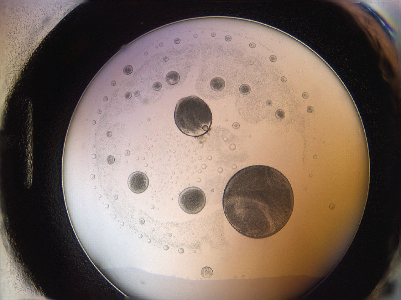 0624_H12_ImagerDefaults_5.jpg