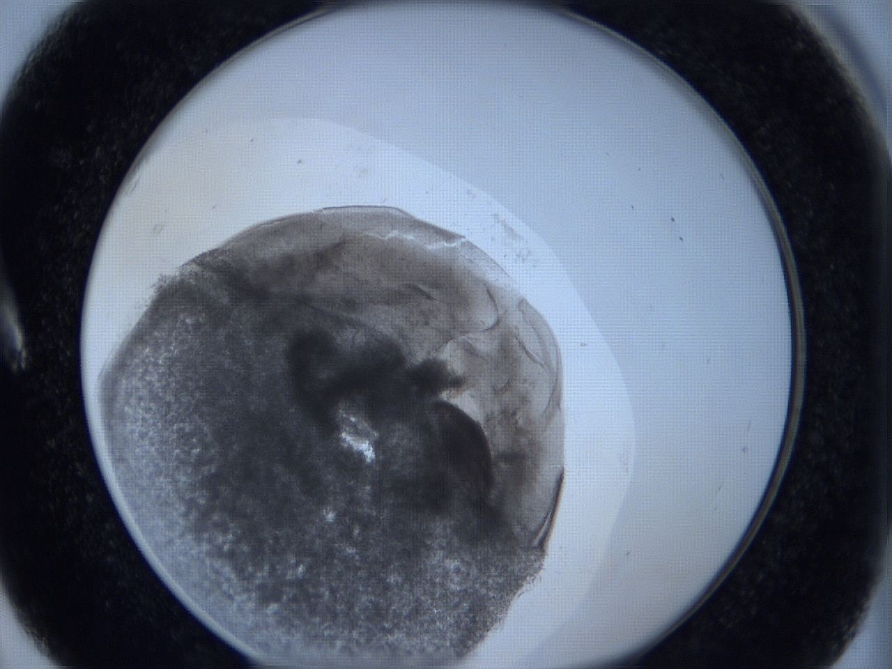 0625_A5_ImagerDefaults_3.jpg