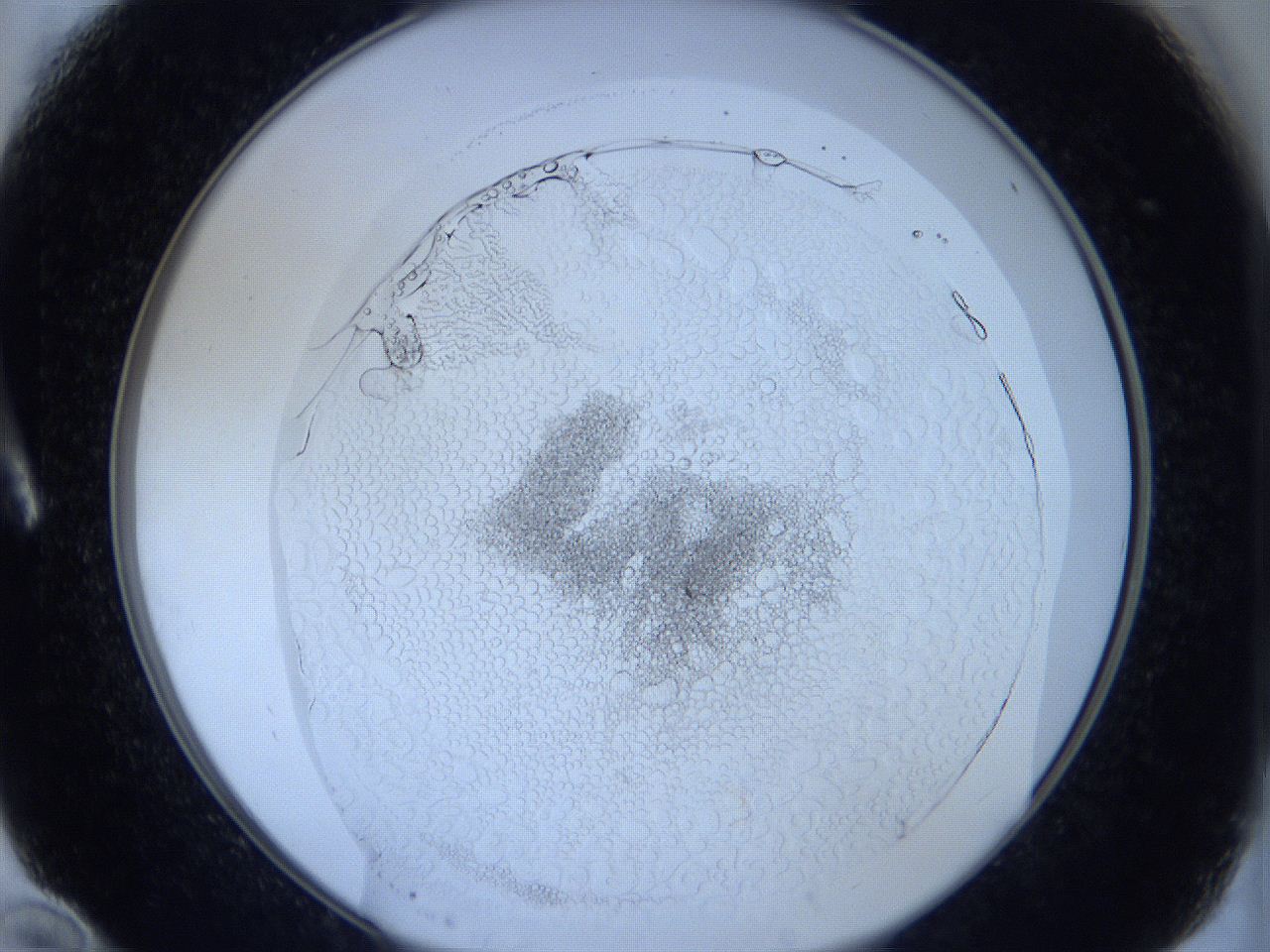 0625_A10_ImagerDefaults_5.jpg