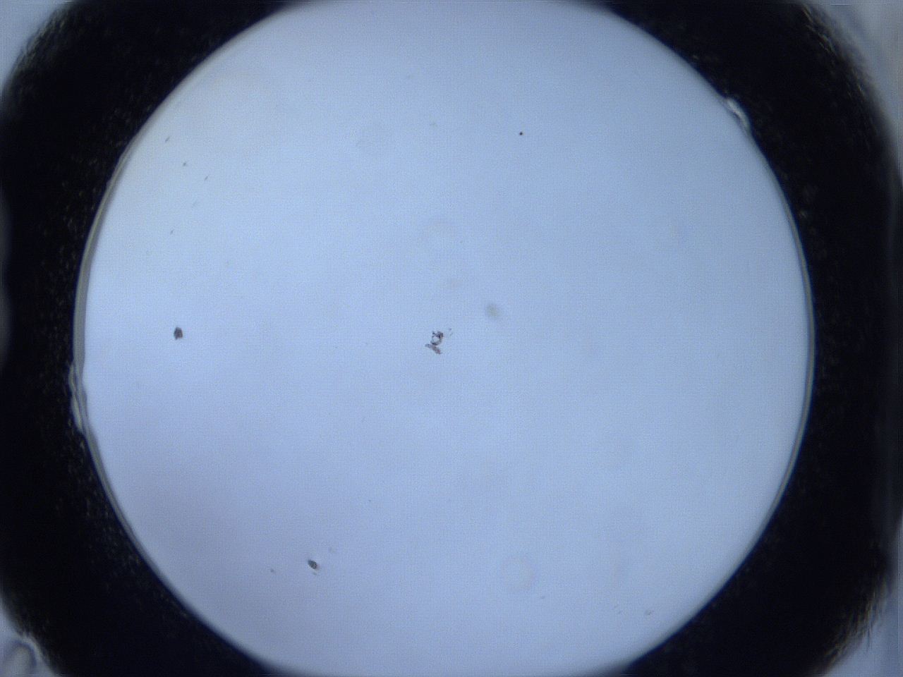 0625_B11_ImagerDefaults_0.jpg