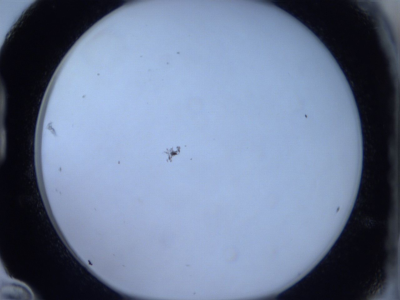 0625_B12_ImagerDefaults_1.jpg